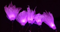 Purple Lily Liladee Flower Leaf - LONG lead 10 Metres 100 lights fairy party lights